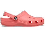 Classic Clog